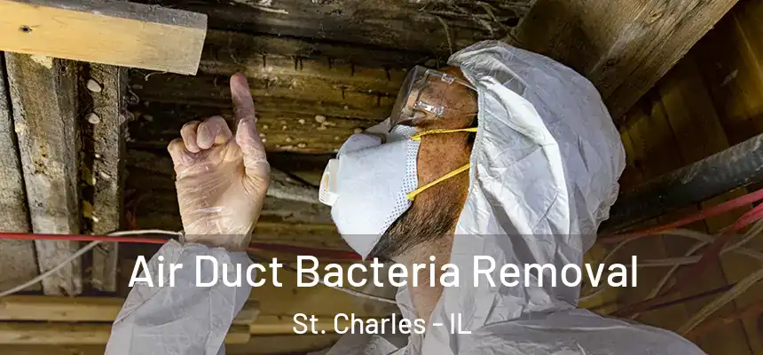  Air Duct Bacteria Removal St. Charles - IL