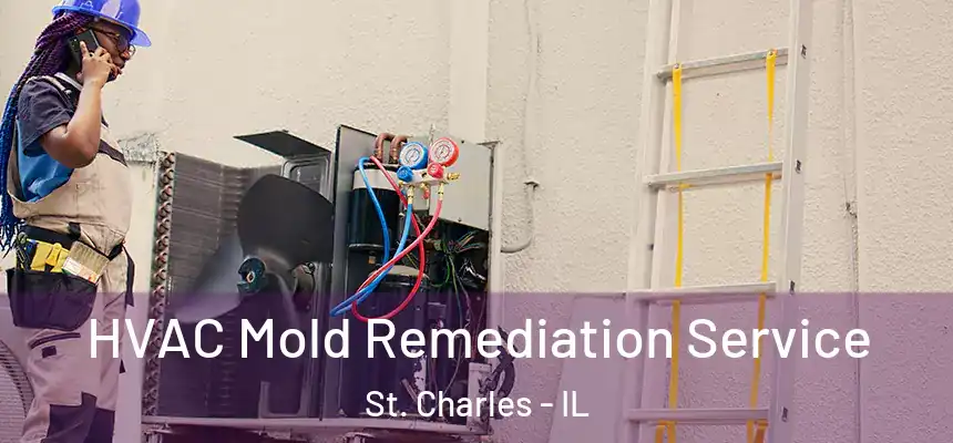  HVAC Mold Remediation Service St. Charles - IL