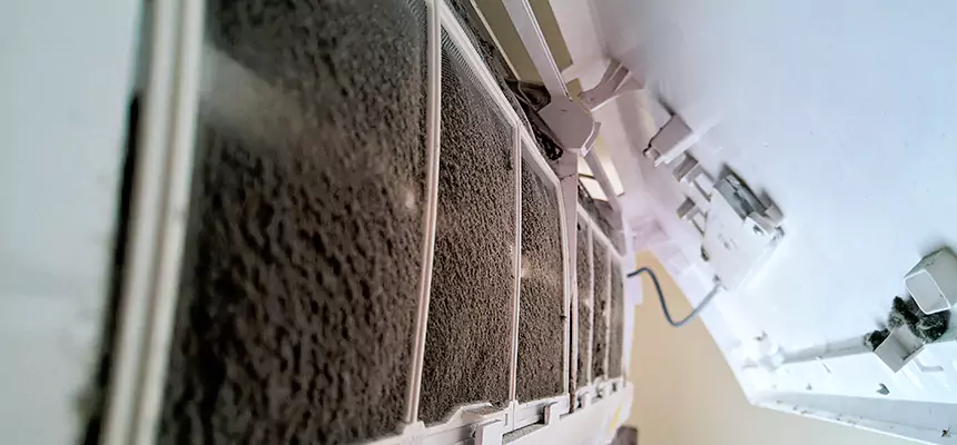 Preventive Air Duct Bacteria Removal in St. Charles