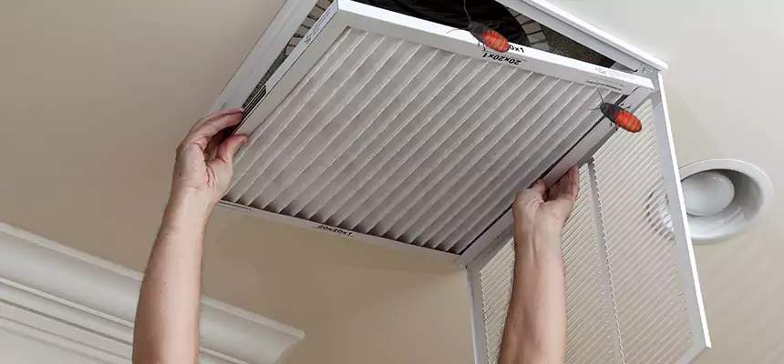 Preventive Cockroach-Proofing for Ducts in St. Charles