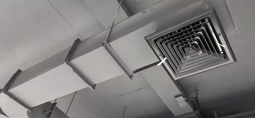 Restorative Allergy Relief Vent Cleaning – Coil, Blower & Housing Detail in St. Charles