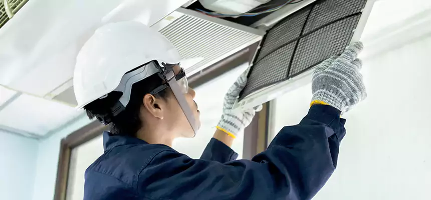 Our Mold & Mildew Removal from Air Ducts Services in St. Charles, IL