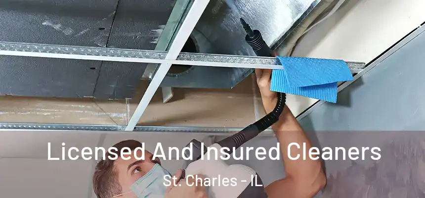 Licensed And Insured Cleaners St. Charles - IL