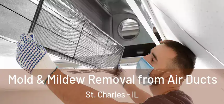  Mold & Mildew Removal from Air Ducts St. Charles - IL