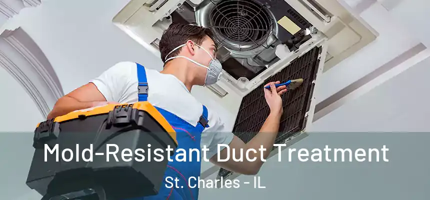  Mold-Resistant Duct Treatment St. Charles - IL