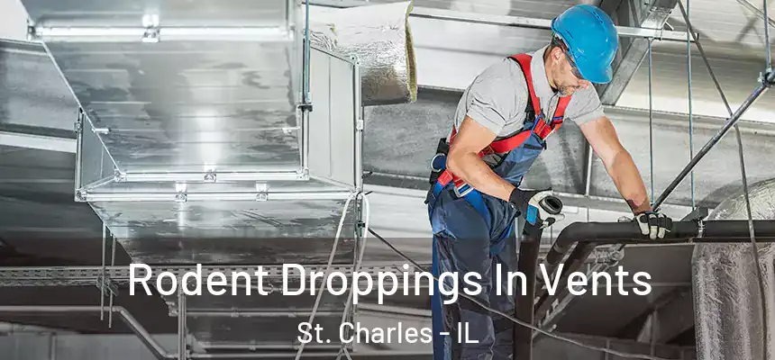  Rodent Droppings In Vents St. Charles - IL