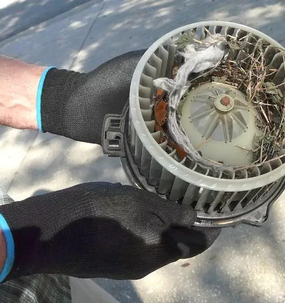 About Air Duct Rat Removal in St. Charles, IL