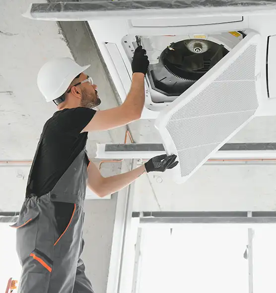 About Air Duct Rodent Removal in St. Charles, IL