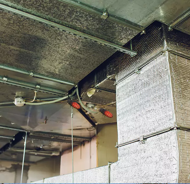 Why Homeowners & Businesses Trust Us in St. Charles, IL?